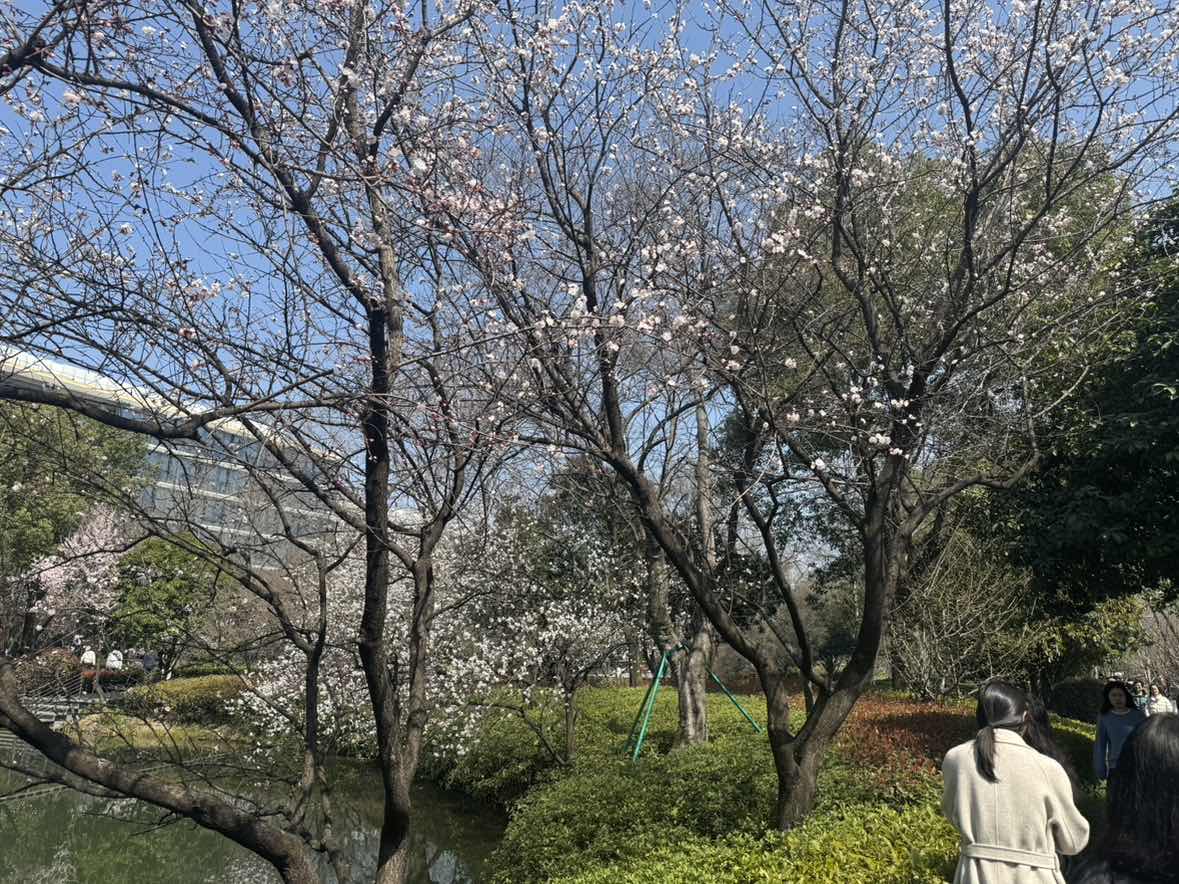 西溪园区的花